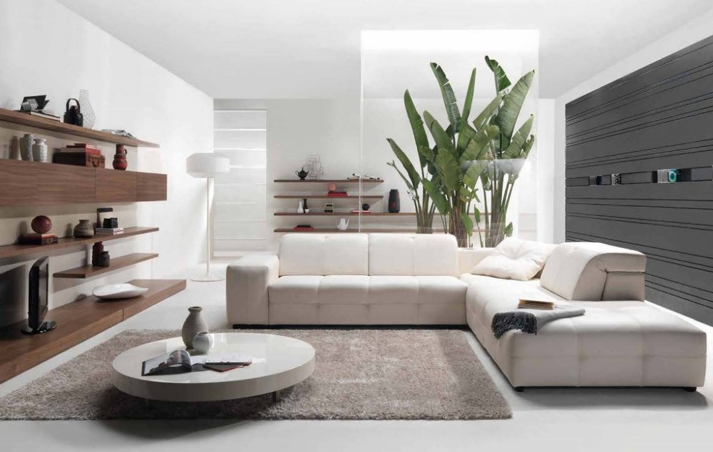 contemporary-living-room-design-photos