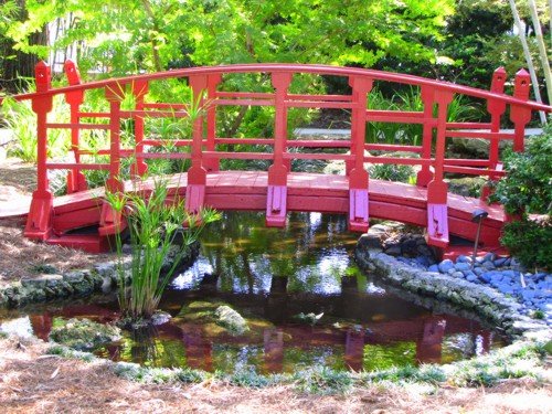 japanese-garden-bridge-at-miami-beach-botanical-garden