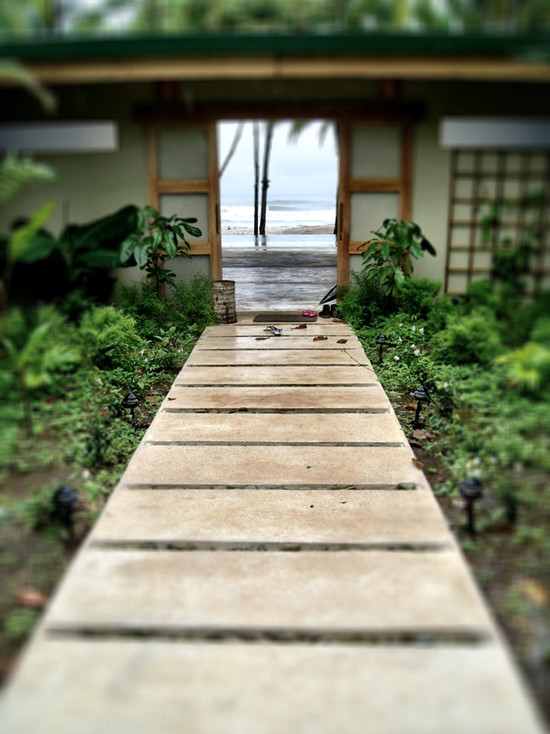 Awesome Asian Landscape Design with Concrete Pathway