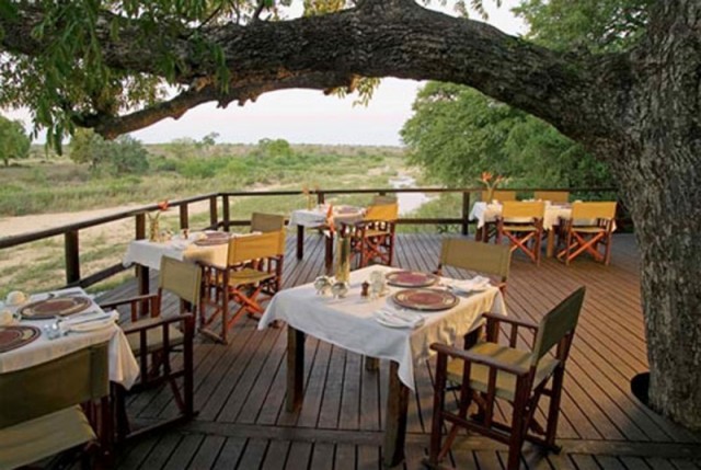 Dining-Room-Creating-A-Cozy-Nuance-With-Outdoor-Dining-Room-Design-Ideas-Under-Trees-With-Wooden