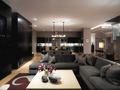 contemporary-living-room-decorating-ideas-1