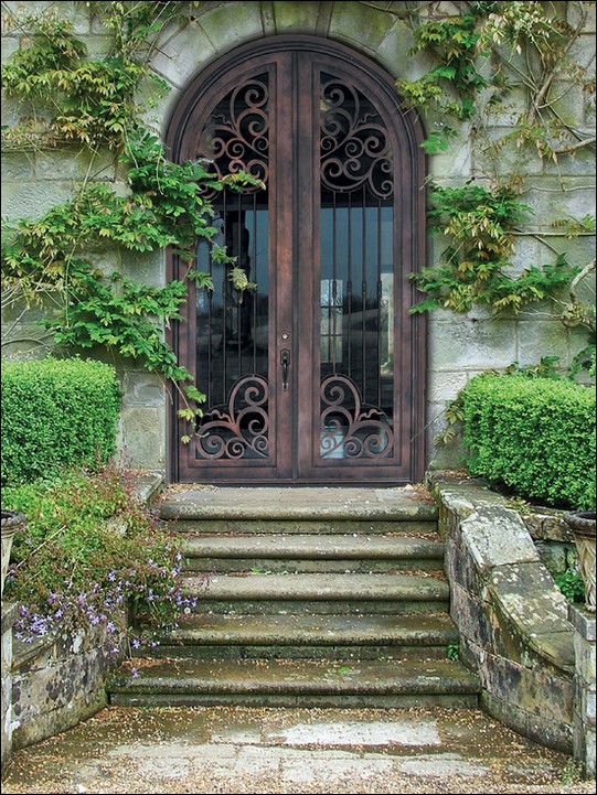 French-Doors-mediterranean-entry