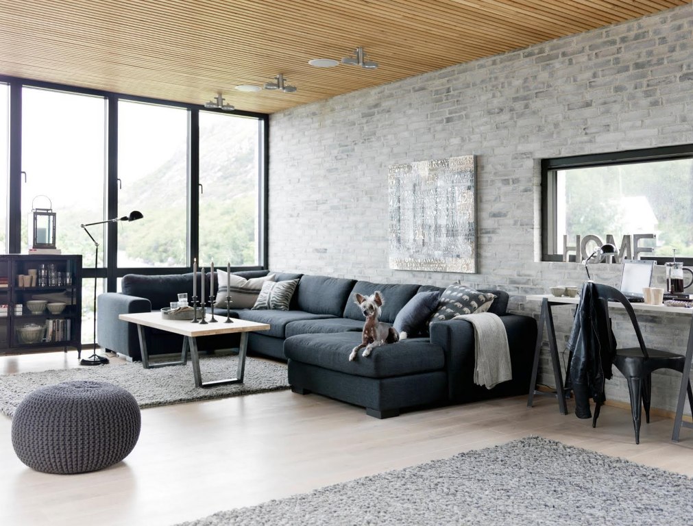 Industrial interior design living room