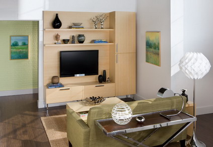 Small-Sofa-in-Small-Modern-Living-Room-Interior-Decorating-Designs-Ideas
