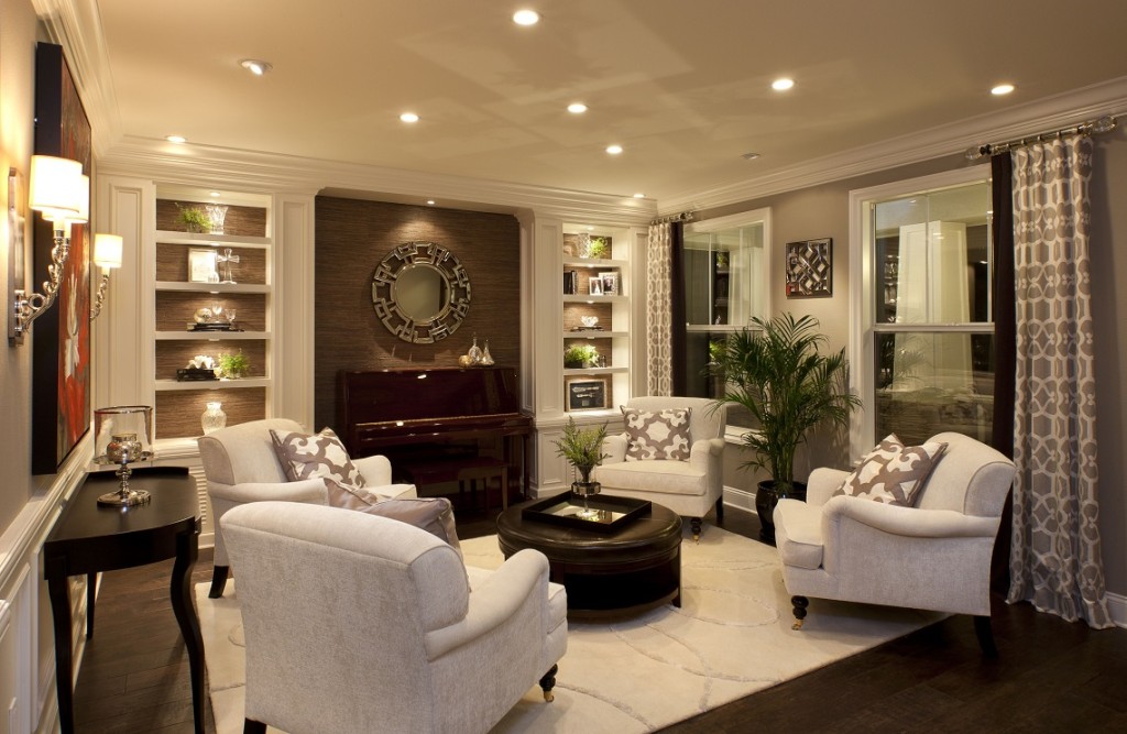 stylish-transitional-home-living-room-robeson-design-_