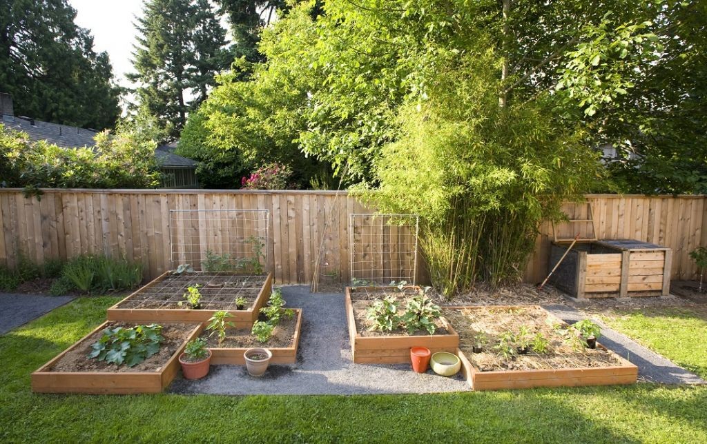 backyard-design-ideas-on-a-budget