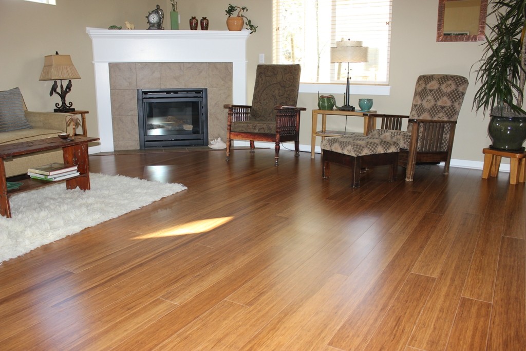 flooring-remodel-another-living-room-with-bamboo-house-bamboo-flooring