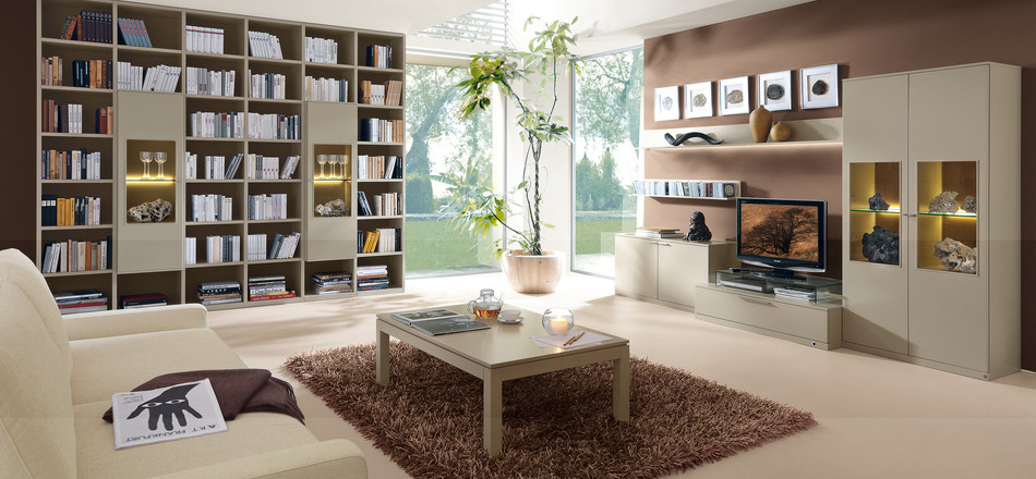 modern-modular-bookcase-fur-rug-library