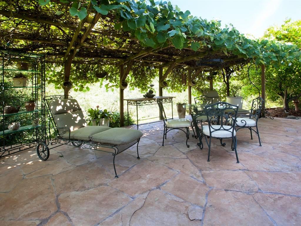 Grape-Arbor-Patio_