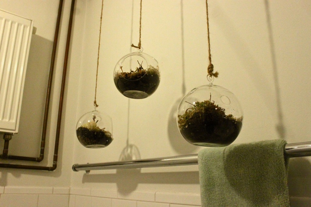 Hanging-Plants-Indoors-Design-Ideas-
