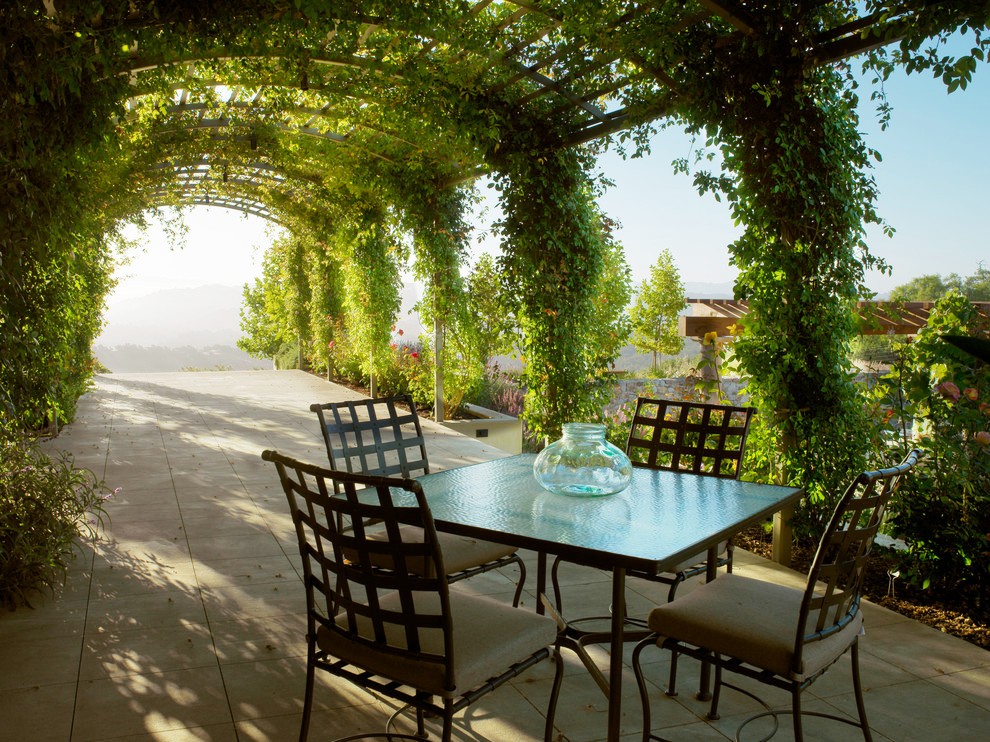 Sumptuous-Grape-Arbor ideas