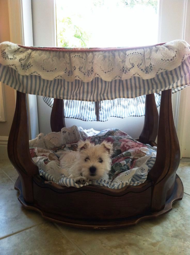 canopy pet bed ideas