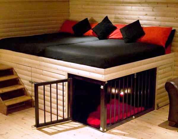 dog-cat-beds-pet-design-ideas-