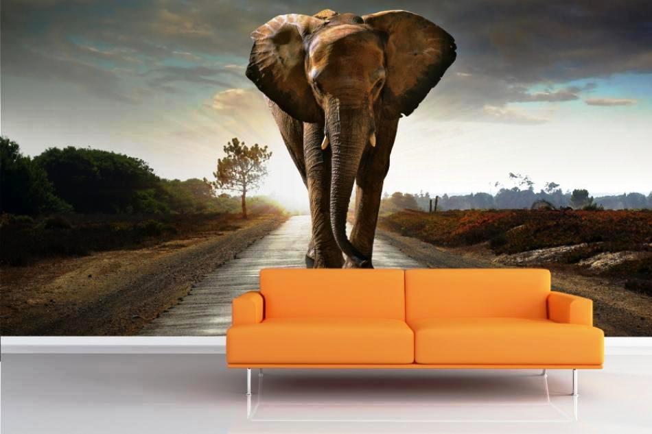 elephant-mural-allpaper-room-wallpaper-murals-animals