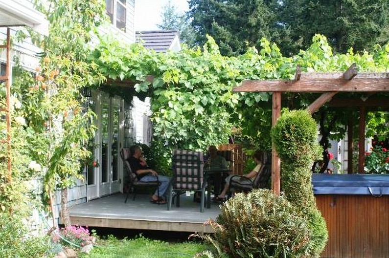 grape-arbor-design-ideas