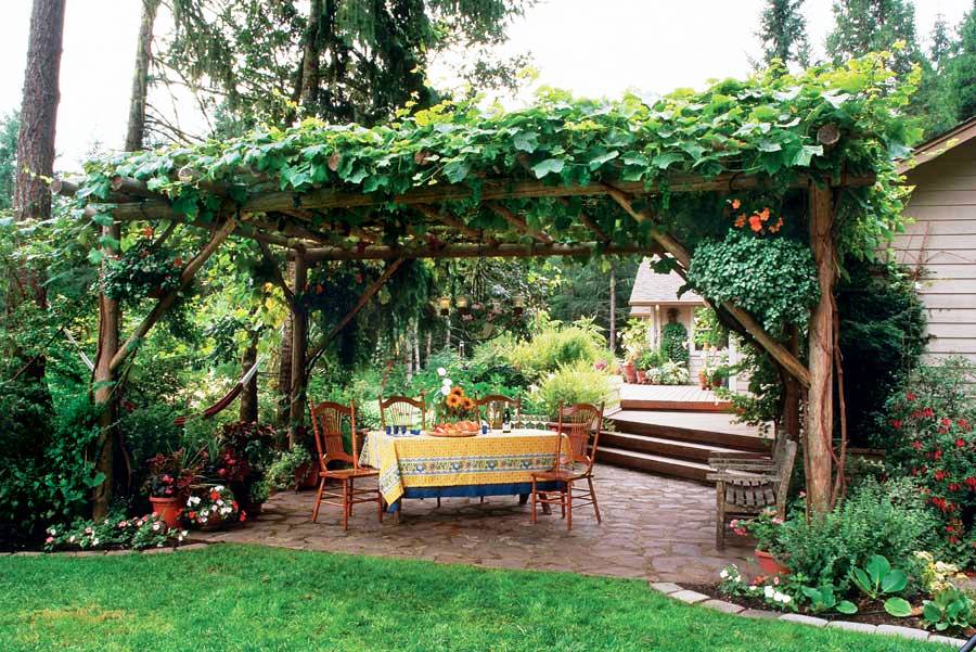 21 Best Patio Grape Arbor Decor Ideas