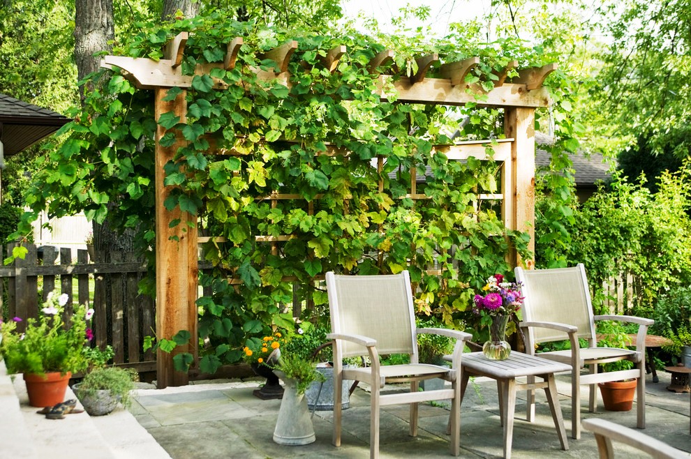 grape-trellis-design-Patio-Traditional-with-mass-planting-outdoor-furniture