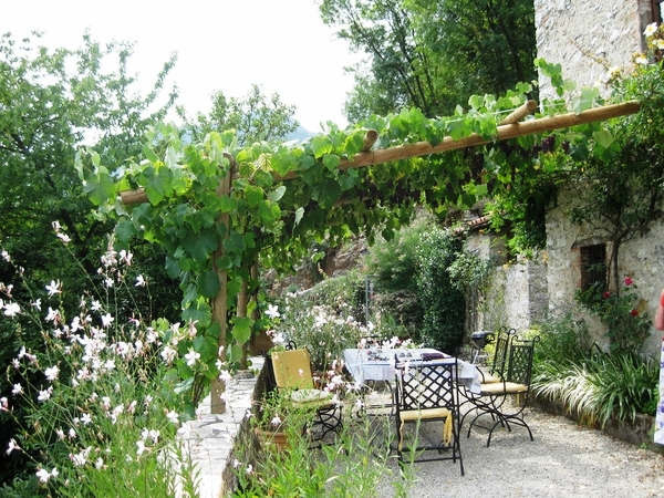 mediterranean-patio-landscaping-outdoor-furniture-sun-protection-wooden-pergola-grapevines