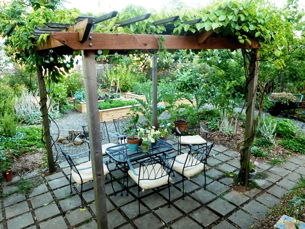 patio-design-ideas-wooden-pergola-grapevines-sun-protection-outdoor-furniture-wrought-iron