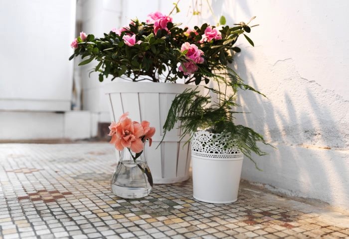 white-vintage-floral-arrangement-and-pot-plants