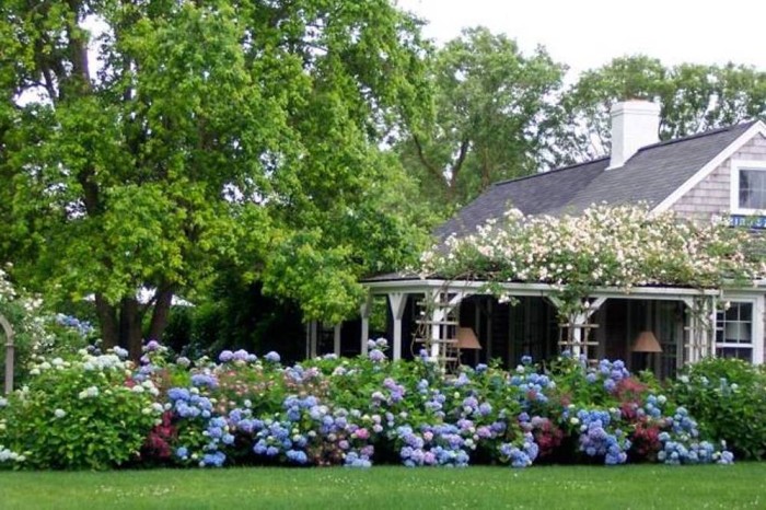 wonderful-landscaping-with-hydrangeas-with-home-landscaping-with-hydrangeas-for-wonderful-exterior