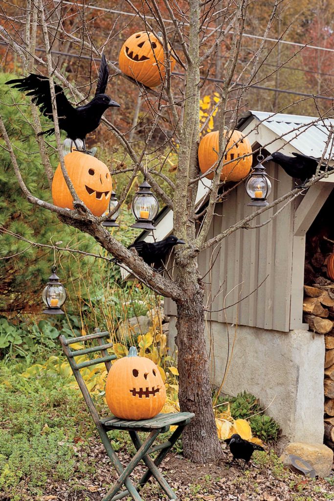 Pumpkin Decorated Tree Branches