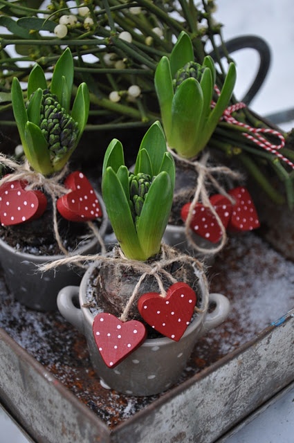 fresh-red-valentines-day-decoration-ideas-23