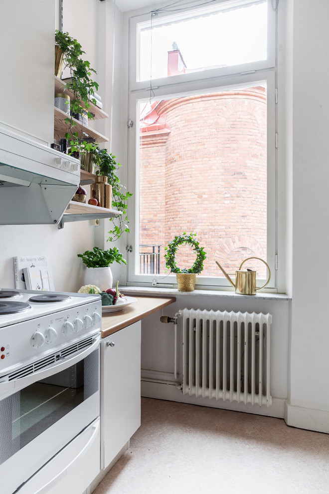 Small Scandinavian Style Kitchen