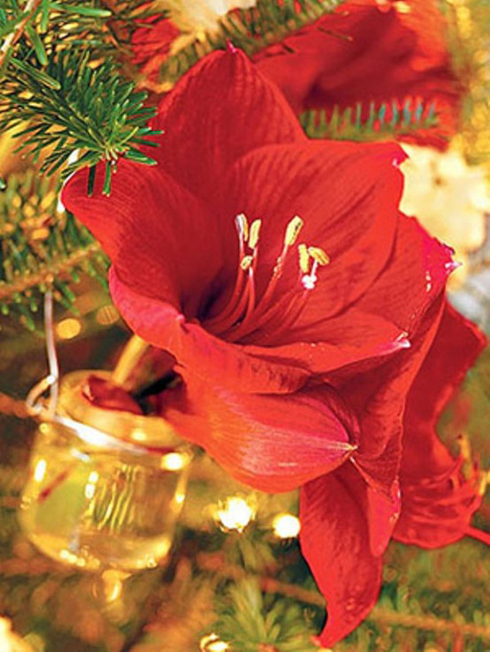 Christmas Ornament Bud Vases