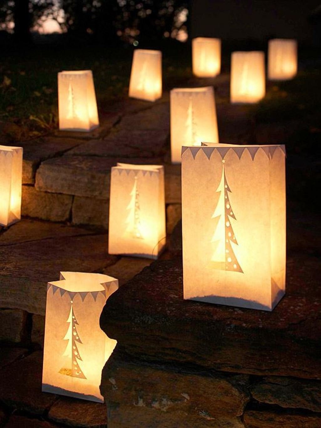 Best Outdoor Christmas Decorations (12)