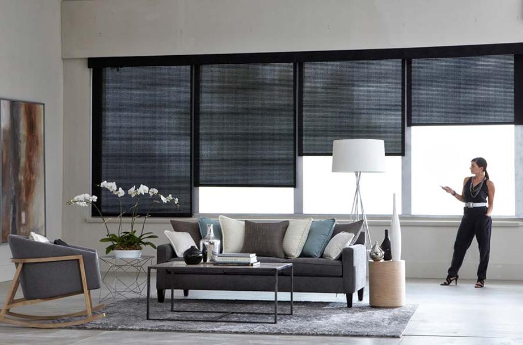 blinds automated or manual