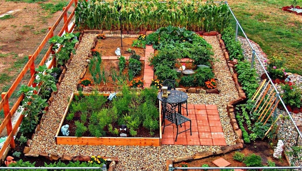 Making your own vegetable patch