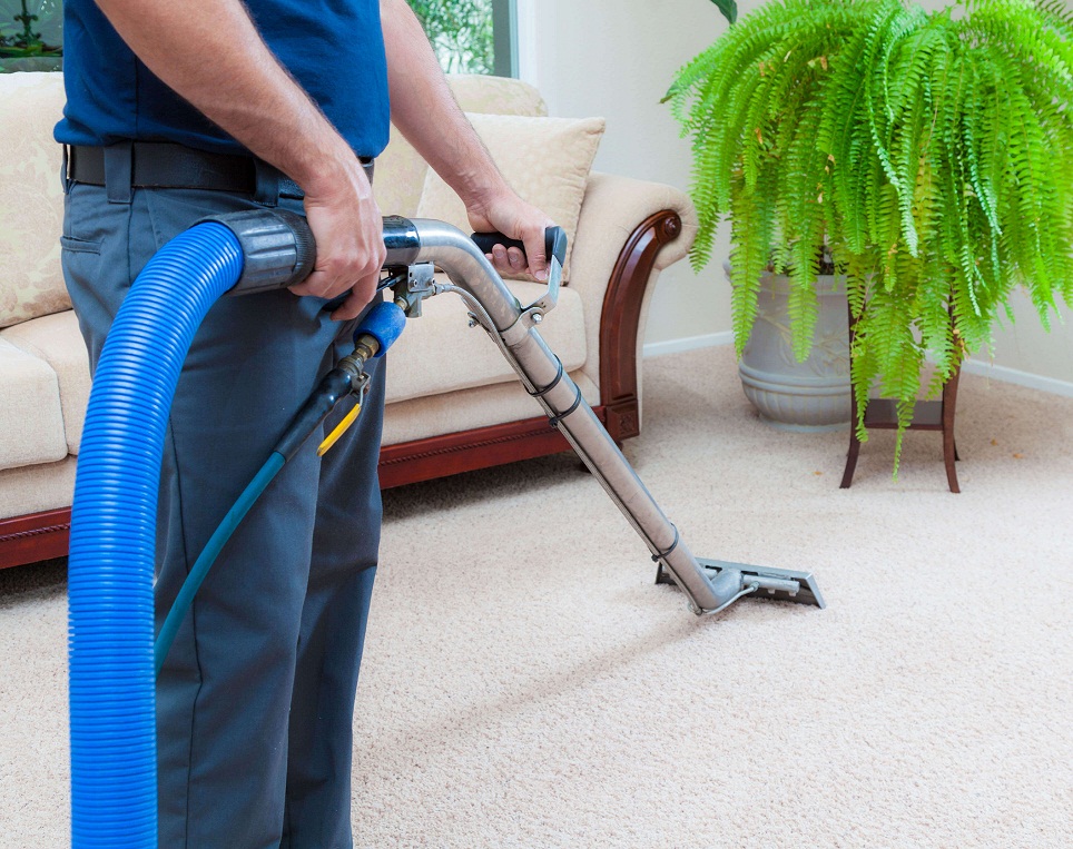 Tips for Choosing The Best Carpet Cleaning Company