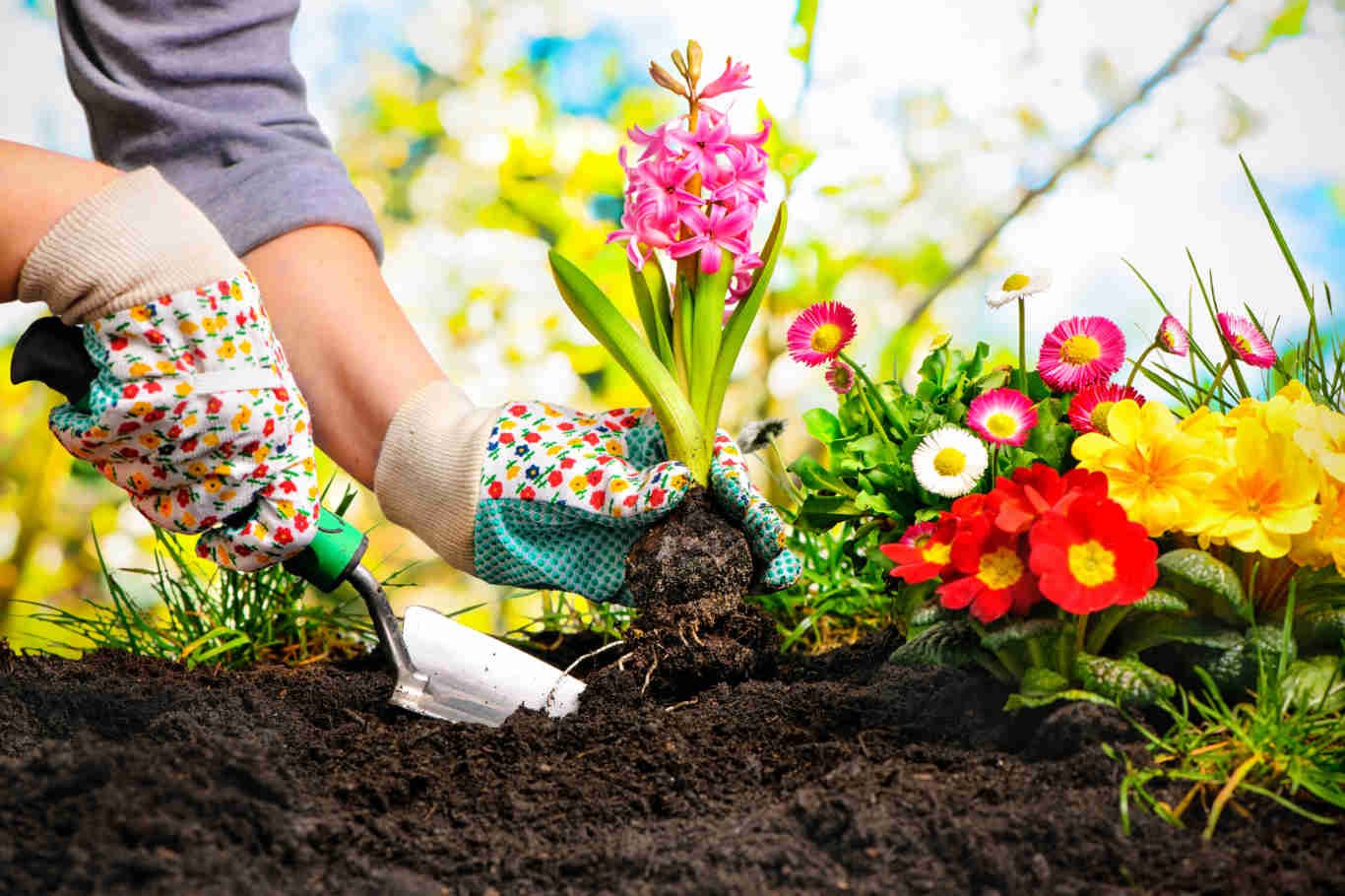 Reduce Gardening Costs