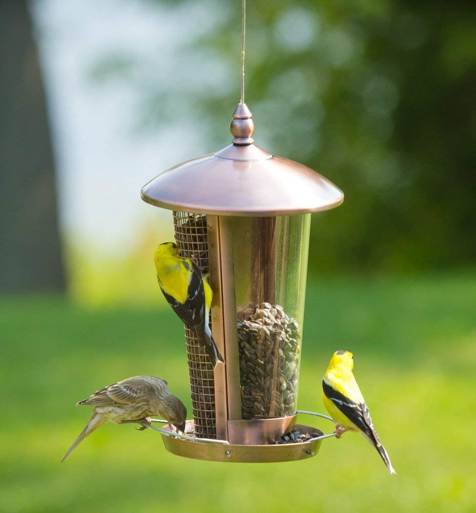 Use Different Feeder Systems