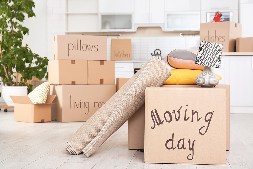 Make a Moving Day Box
