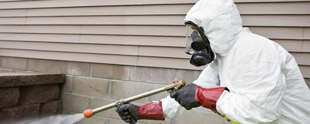 Household Pest Control Starts with Maintenance