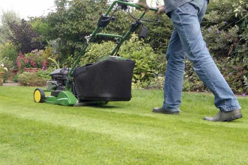 Mow the Lawn2
