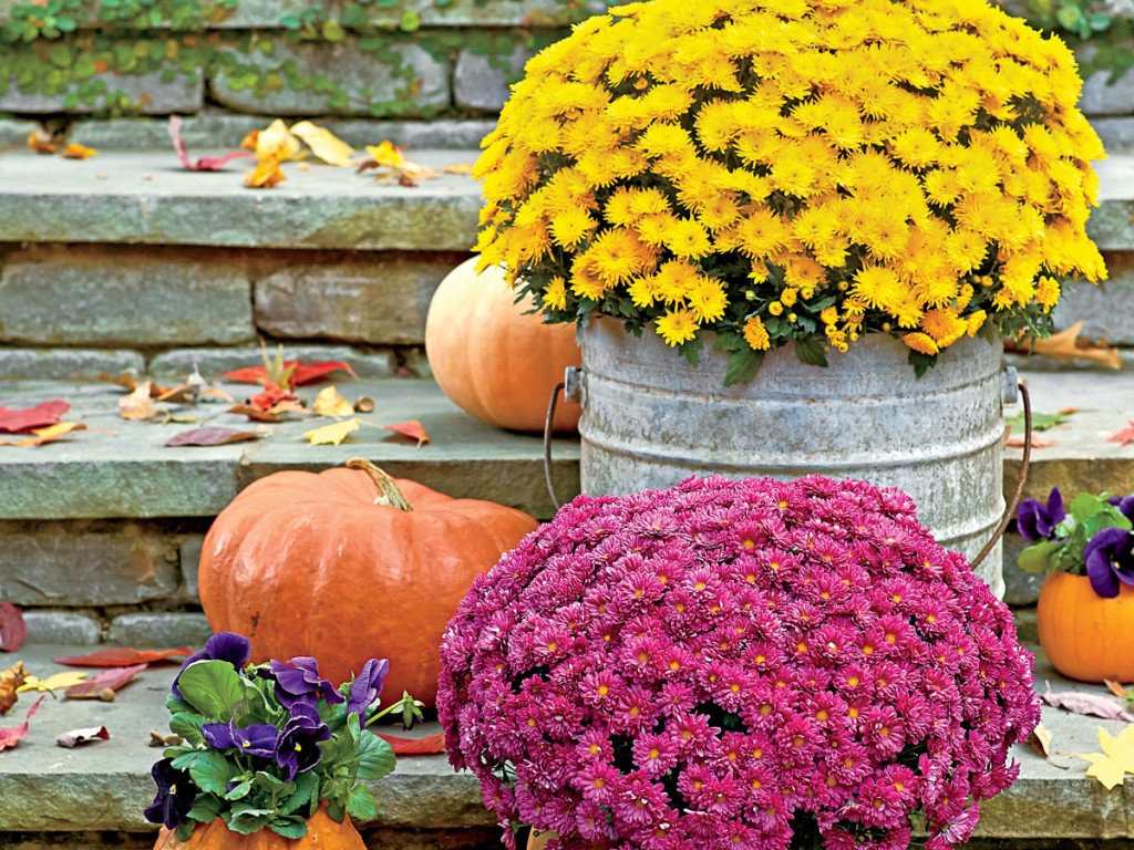 Your Guide to Fall Planting
