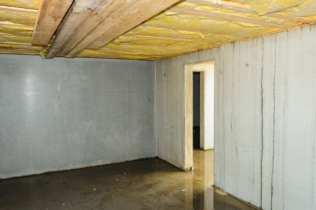 What to Do If You Have a Damp Basement