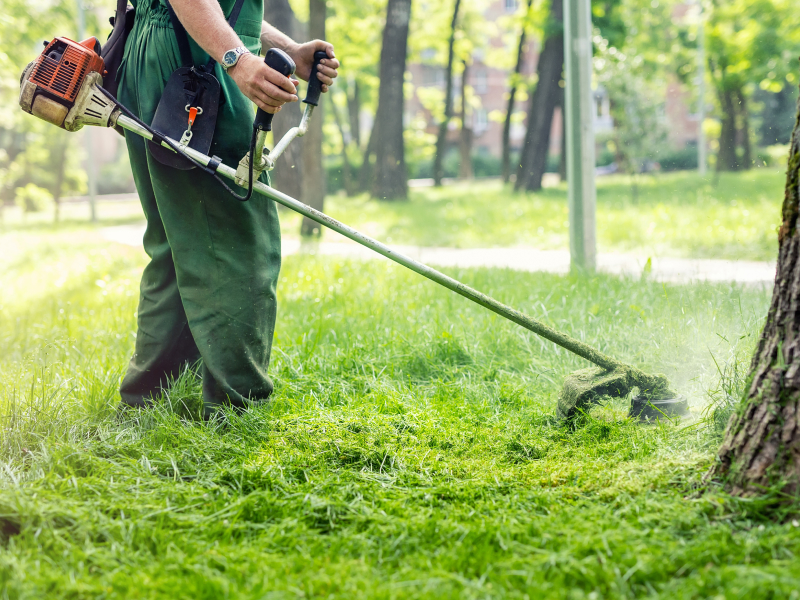 Hiring A Lawn Care Company Wow Decor, How To Start Your Own Business In Landscaping