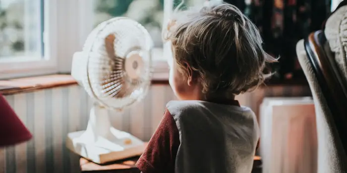 How Using a Fan Can Lower Your Cooling Costs in the Summer?