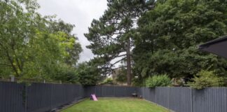 10 Tips To Make Your Lawn The Envy Of The Neighborhood