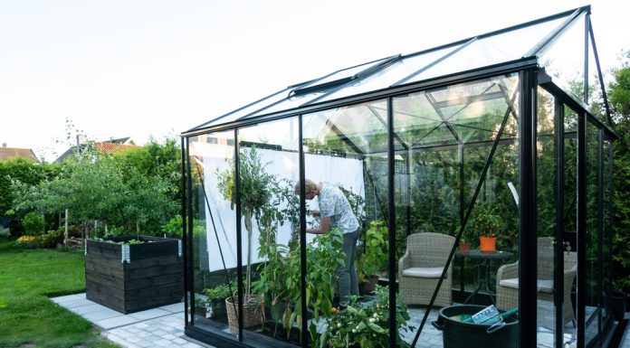 How Homeowners Can Use Greenhouses In These 4 Ways
