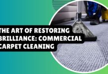 The Art of Restoring Brilliance: Commercial Carpet Cleaning The Art of Restoring Brilliance: Commercial Carpet Cleaning