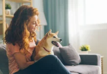 A Beginner’s Guide to the Essentials of Dog-Sitting